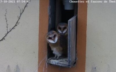 20211018-newsletter