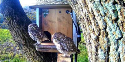 20260322-newsletter 20260322-newsletter