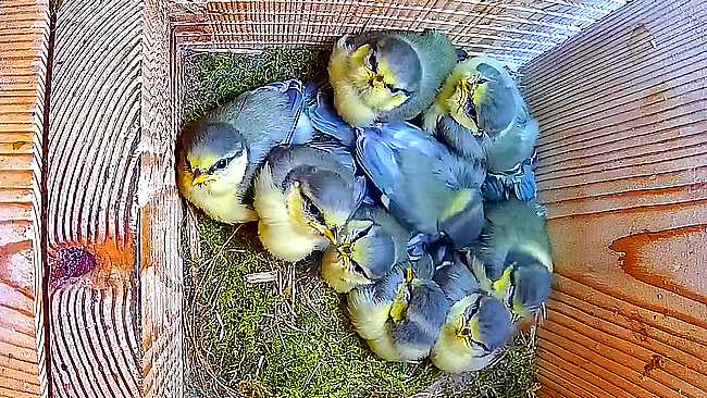 20260524-newsletter-bleue